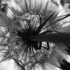 Meet your Posher, Madeline